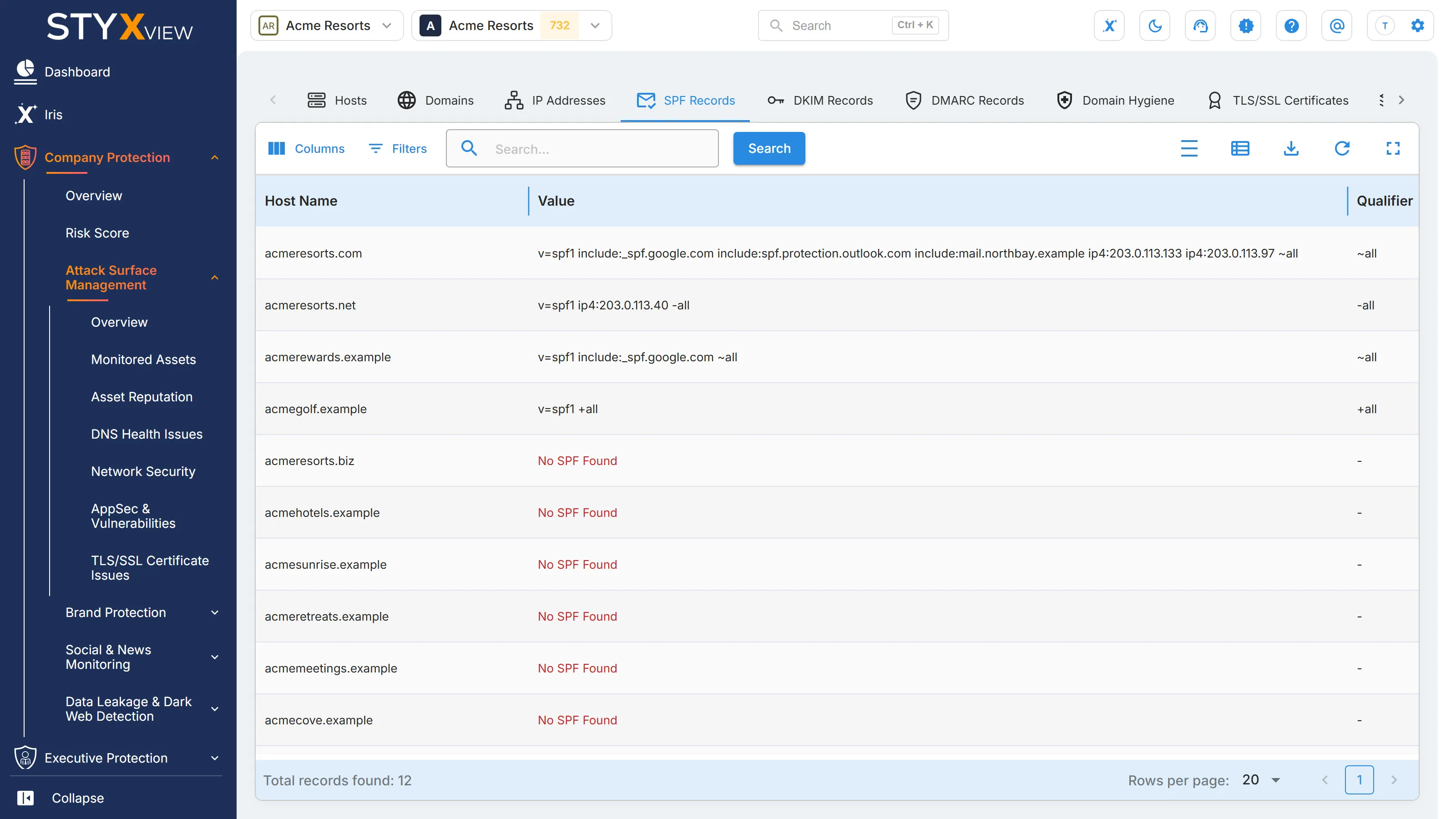 The "SPF Records" tab, with the value and qualifier of each domain's SPF record.