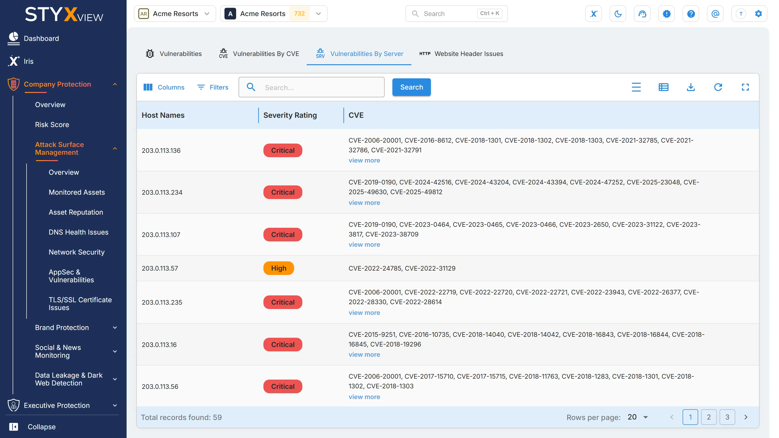 The "Vulnerabilities by Server" tab, with one row per server showing its severity rating beside the CVEs found on it.